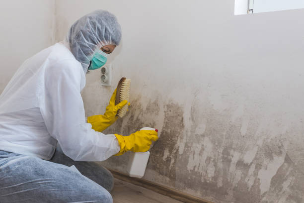 Best Crawl Space Mold Removal  in Fort Benton, MT