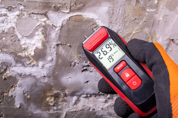 Best Water Damage Restoration  in Fort Benton, MT