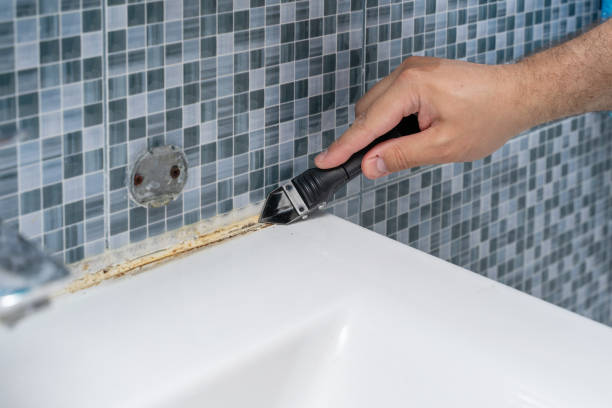 Best Mold Damage Repair  in Fort Benton, MT