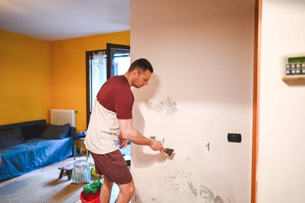 Best Residential Mold Removal  in Fort Benton, MT